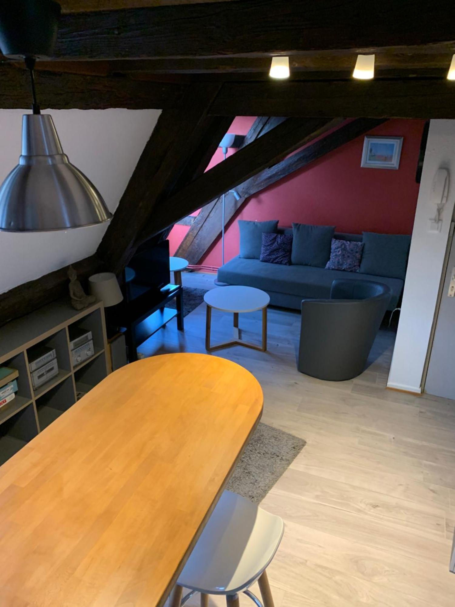 Appartement Duplex 2A Rue D'Alspach Colmar Dış mekan fotoğraf